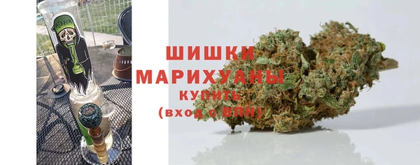 ПСИЛОЦИБИНОВЫЕ ГРИБЫ Балабаново
